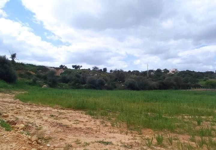 Farm i Albufeira, Faro, Albufeira - € 7.500.000 | Ref: 52078 - foto 1