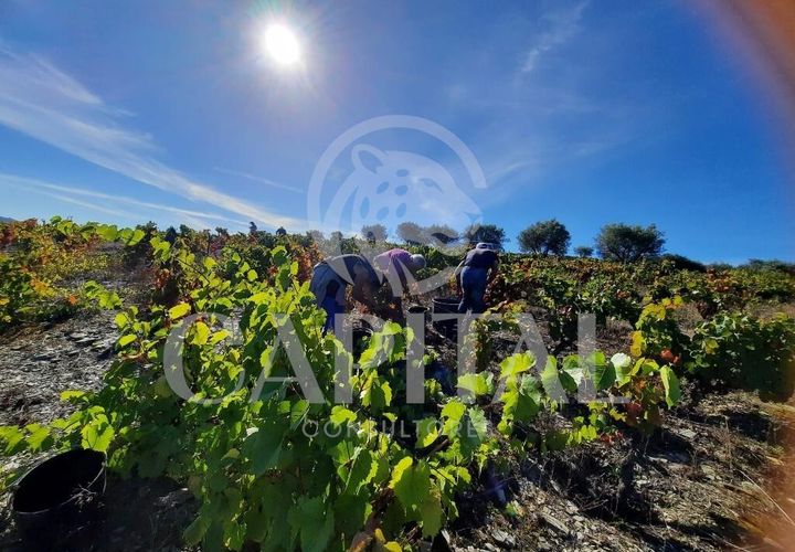 Helårsgrund i Tabuaco, Viseu, Tabuaco - € 30.000 | Ref: 70114 - foto 1