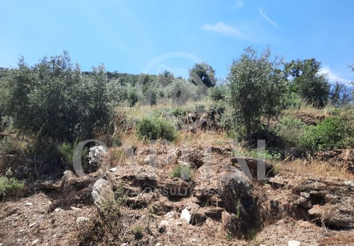 Helårsgrund i Tabuaco, Viseu, Tabuaco - € 45.000 | Ref: 70121 - foto 1