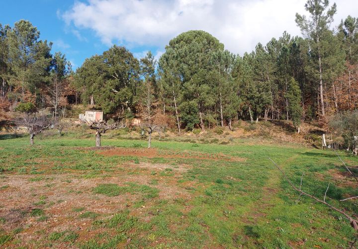 Tomt i Arganil, Coimbra, Arganil - € 55 000 | Ref: 61493 - foto 1