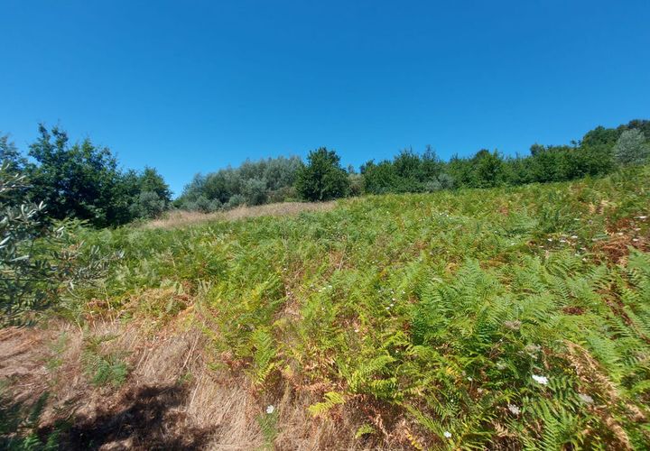 Helårsgrund i Arganil, Coimbra, Arganil - € 12.000 | Ref: 65797 - foto 1