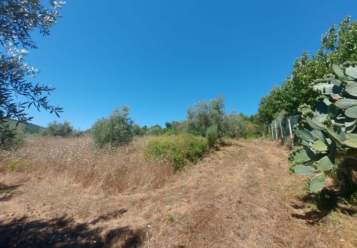 Helårsgrund i Arganil, Coimbra, Arganil - € 15.000 | Ref: 65796 - foto 1