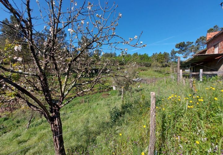 Helårsgrund i Arganil, Coimbra, Arganil - € 45.000 | Ref: 60231 - foto 1