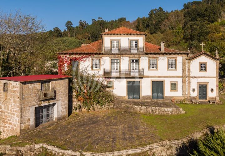 Farm i Baiao, Porto, Baiao - € 1.050.000 | Ref: 93924 - foto 1