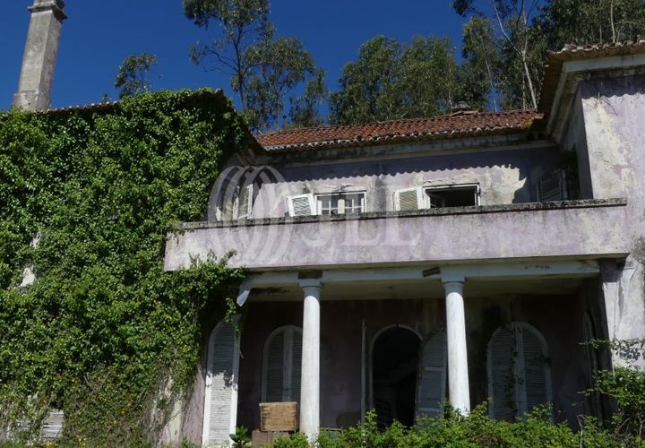 Farm i Barcelos, Braga, Barcelos - € 650.000 | Ref: 47452 - foto 1