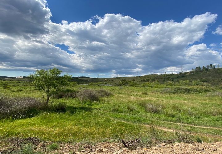 Helårsgrund i Silves, Faro, Silves - € 15.000.000 | Ref: TRTU003 - foto 1