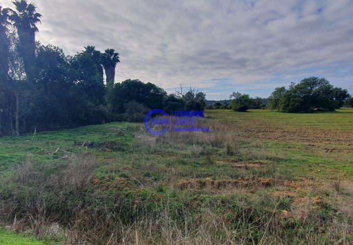 Helårsgrund i Algoz, Faro, Algoz - € 35.000 | Ref: SF012 - foto 1