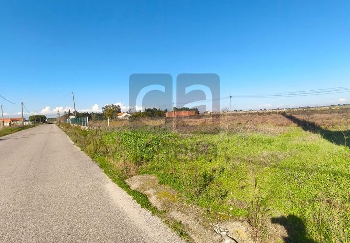 Terra a Alpiarca, Santarem, Alpiarca - € 87.500 | Ref: TERR4449 - foto 1