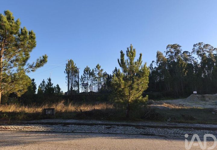 Terra a Ansiao, Leiria, Ansiao - € 42.500 | Ref: 772124 - foto 1