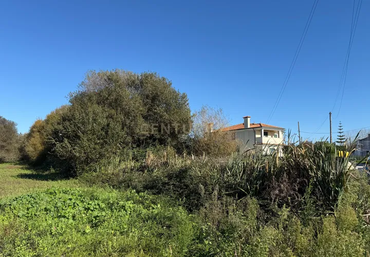 Terra a Ilhavo, Aveiro, Ilhavo - € 19.900 | Ref: C0385-00943 - foto 1