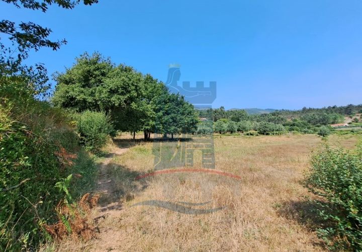 Helårsgrund i Ponte de Lima, Viana do Castelo, Ponte de Lima - € 12.000 | Ref: 6223 - foto 1