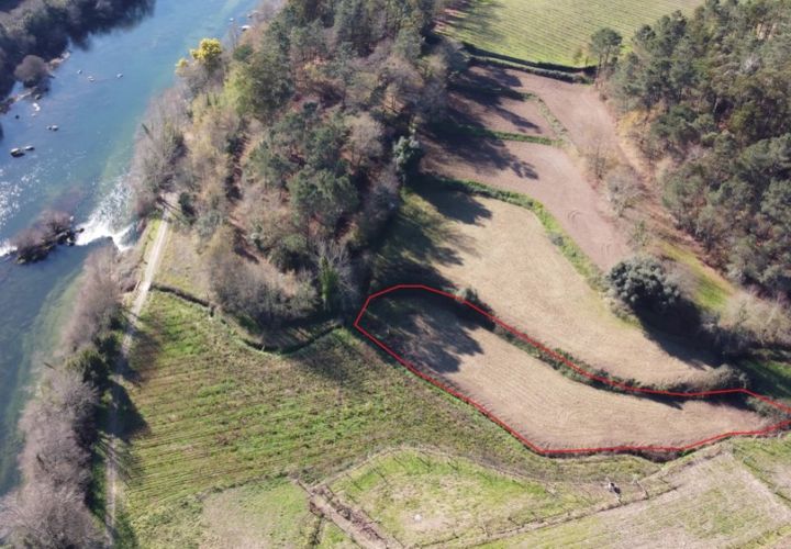 Tomt i Ponte de Lima, Viana do Castelo, Ponte de Lima - € 9 900 | Ref: 5581 - foto 1