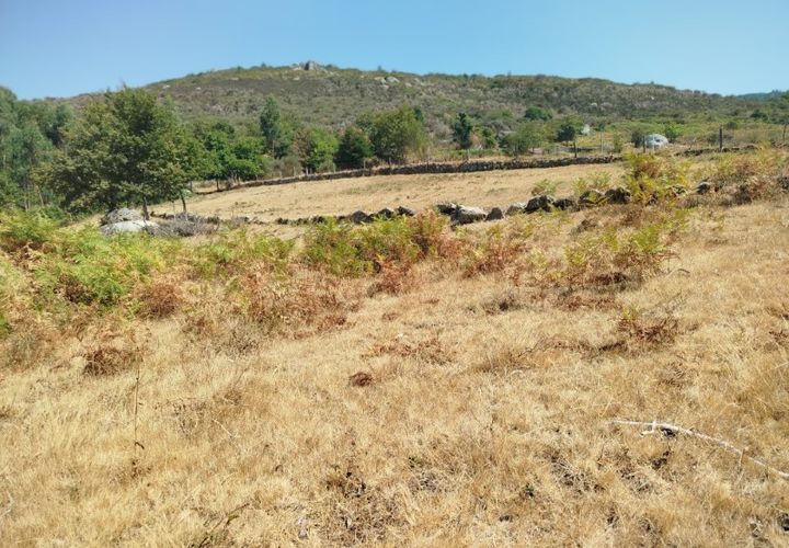 Helårsgrund i Ponte de Lima, Viana do Castelo, Ponte de Lima - € 30.000 | Ref: 6213 - foto 1