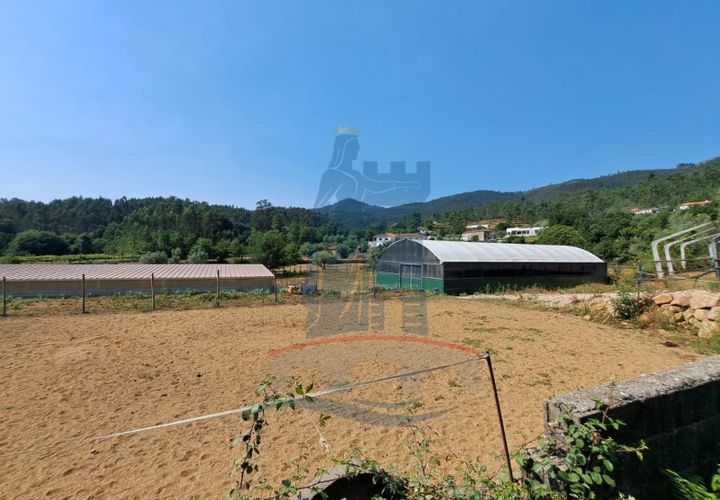 Helårsgrund i Ponte de Lima, Viana do Castelo, Ponte de Lima - € 14.500 | Ref: 6224 - foto 1