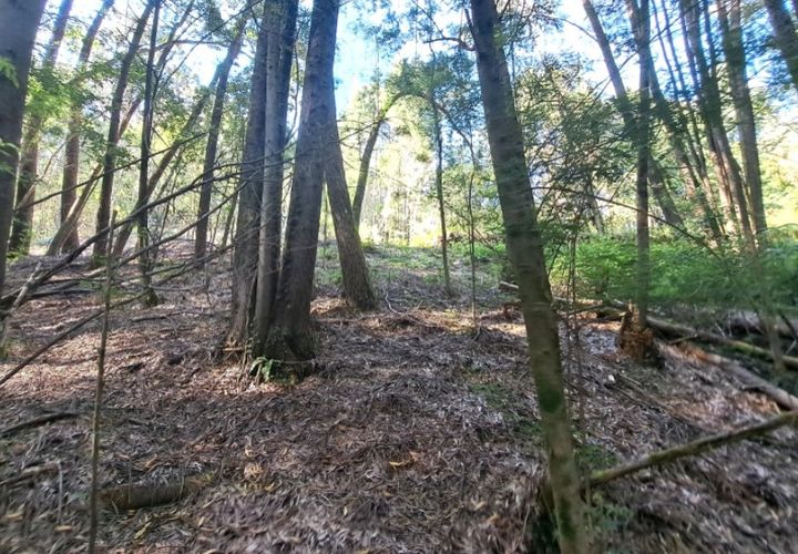 Helårsgrund i Ponte de Lima, Viana do Castelo, Ponte de Lima - € 24.000 | Ref: 6056 - foto 1