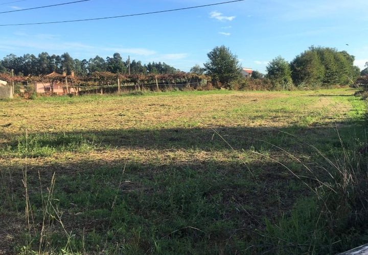 Helårsgrund i Ponte de Lima, Viana do Castelo, Ponte de Lima - € 56.000 | Ref: 5772 - foto 1
