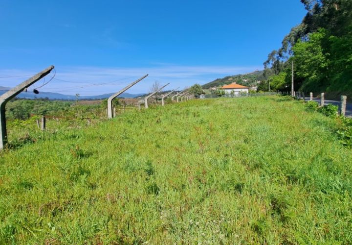 Helårsgrund i Ponte de Lima, Viana do Castelo, Ponte de Lima - € 29.000 | Ref: 6014 - foto 1