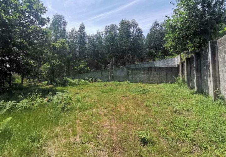Terra a Calvelo, Viana do Castelo, Calvelo - € 75.000 | Ref: 5733 - foto 1