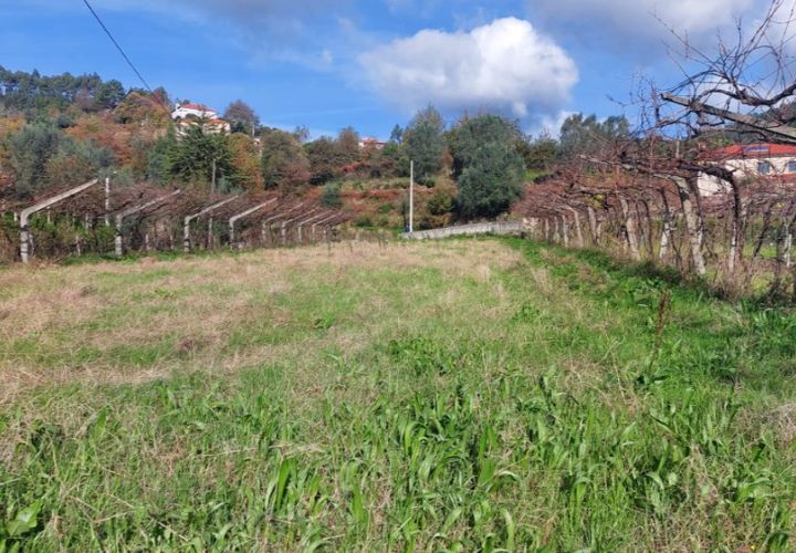 Helårsgrund i Ponte de Lima, Viana do Castelo, Ponte de Lima - € 14.500 | Ref: 5922 - foto 1
