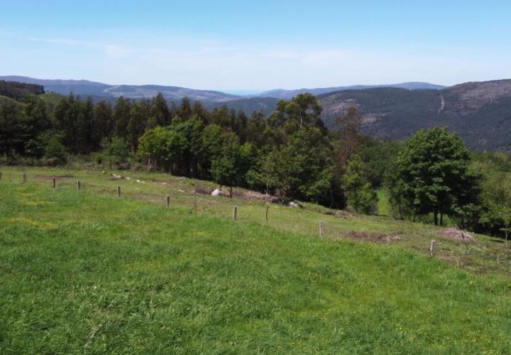 Helårsgrund i Ponte de Lima, Viana do Castelo, Ponte de Lima - € 48.500 | Ref: 5966 - foto 1