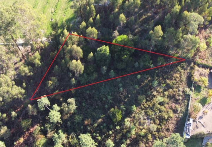 Helårsgrund i Ponte de Lima, Viana do Castelo, Ponte de Lima - € 18.500 | Ref: 5590 - foto 1
