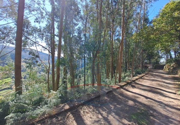 Helårsgrund i Ponte de Lima, Viana do Castelo, Ponte de Lima - € 10.000 | Ref: 6211 - foto 1