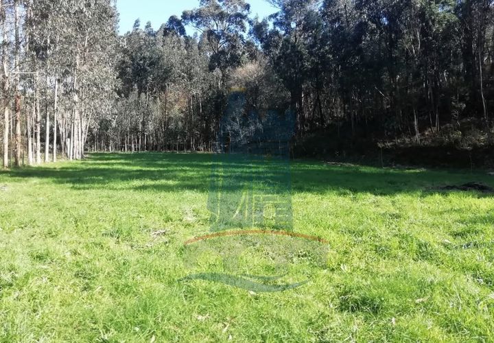 Helårsgrund i Barroselas, Viana do Castelo, Barroselas - € 19.000 | Ref: 5832 - foto 1