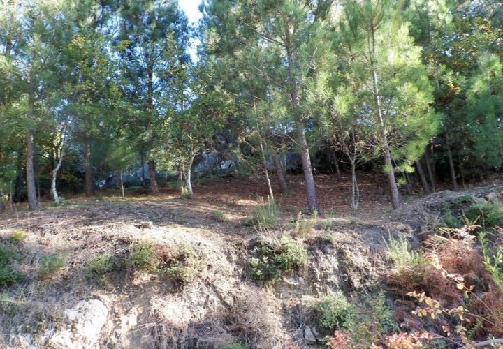 Helårsgrund i Ponte de Lima, Viana do Castelo, Ponte de Lima - € 15.000 | Ref: 4893 - foto 1