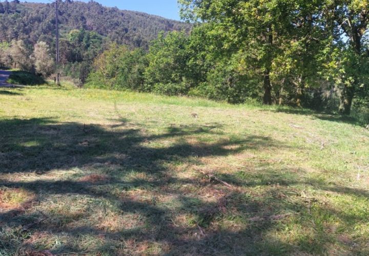 Terra a Gondufe, Viana do Castelo, Gondufe - € 19.500 | Ref: 5968 - foto 1