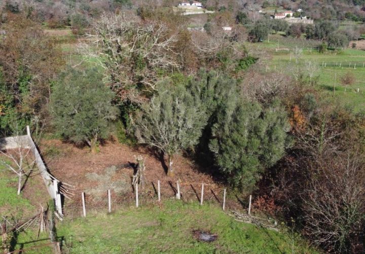 Helårsgrund i Ponte de Lima, Viana do Castelo, Ponte de Lima - € 9.000 | Ref: 5935 - foto 1