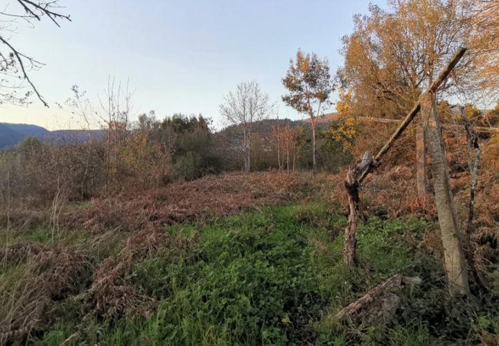 Helårsgrund i Ponte de Lima, Viana do Castelo, Ponte de Lima - € 37.000 | Ref: 5650 - foto 1