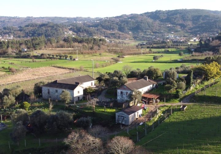 Farm i Ponte de Lima, Viana do Castelo, Ponte de Lima - € 565.000 | Ref: 6099 - foto 1