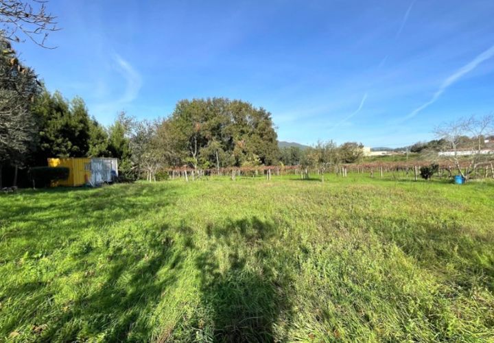 Helårsgrund i Ponte de Lima, Viana do Castelo, Ponte de Lima - € 65.000 | Ref: 6061 - foto 1
