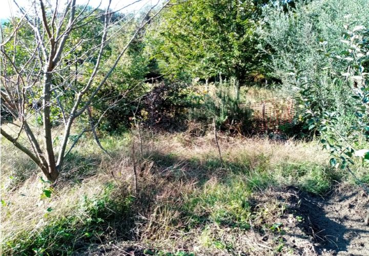 Helårsgrund i Ponte de Lima, Viana do Castelo, Ponte de Lima - € 9.500 | Ref: 5447 - foto 1