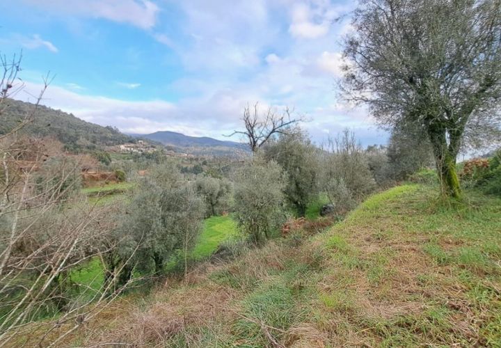 Helårsgrund i Ponte de Lima, Viana do Castelo, Ponte de Lima - € 6.900 | Ref: 5921 - foto 1