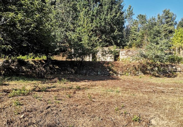 Landejendom i Ponte de Lima, Viana do Castelo, Ponte de Lima - € 79.000 | Ref: 5742 - foto 1