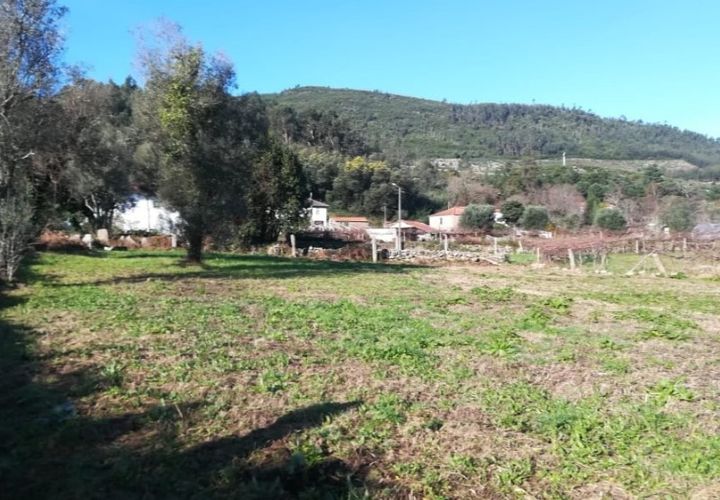 Helårsgrund i Ponte de Lima, Viana do Castelo, Ponte de Lima - € 56.000 | Ref: 5289 - foto 1