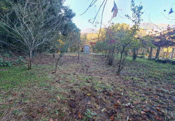Helårsgrund i Ponte de Lima, Viana do Castelo, Ponte de Lima - € 6.500 | Ref: 5978 - foto 1