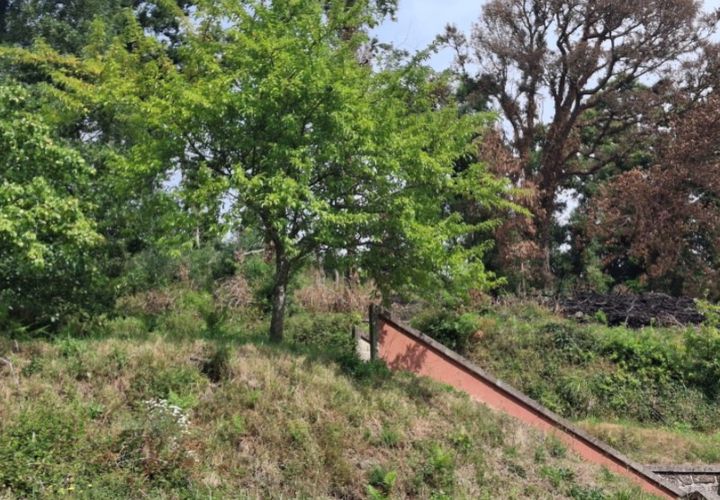 Helårsgrund i Ponte de Lima, Viana do Castelo, Ponte de Lima - € 120.000 | Ref: 6241 - foto 1