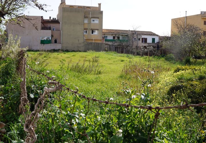Terra a Lloseta, Mallorca, Lloseta - € 490.000 | Ref: 946 - foto 1