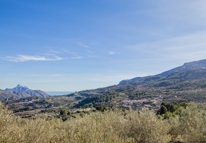 Terra a Benifato, Alicante, Benifato - € 140.000 | Ref: 5349 C - foto 1