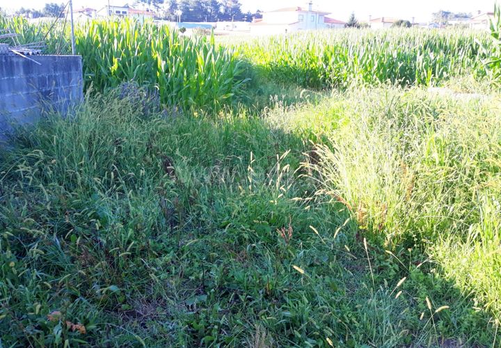 Helårsgrund i Barcelos, Braga, Barcelos - € 37.000 | Ref: 254260400 - foto 1