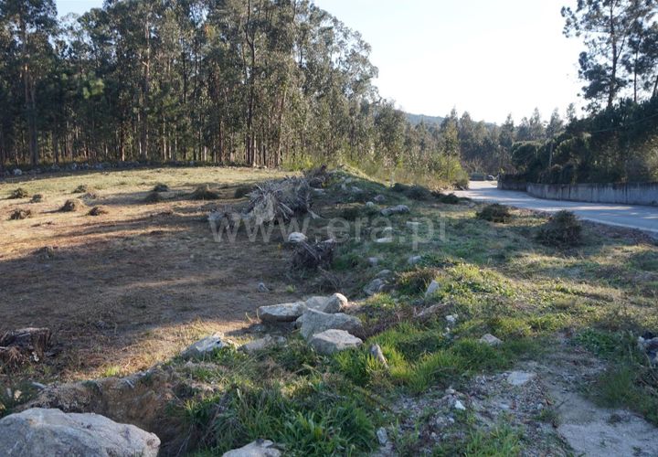 Helårsgrund i Barcelos, Braga, Barcelos - € 77.500 | Ref: 254260262 - foto 1
