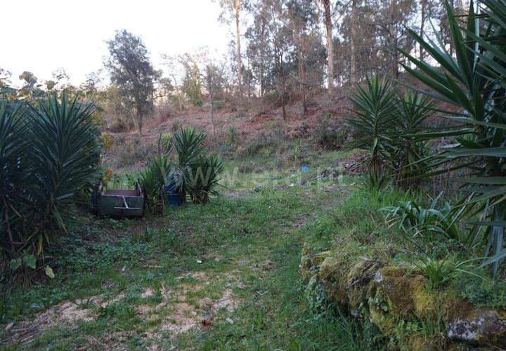 Helårsgrund i Barcelos, Braga, Barcelos - € 52.500 | Ref: 254260265 - foto 1