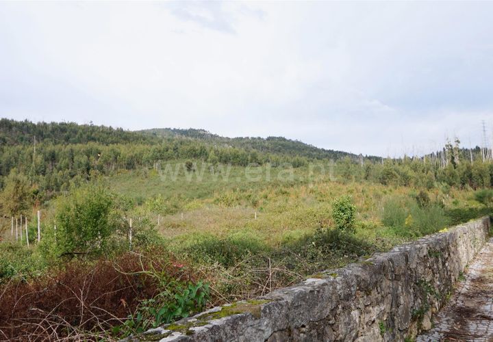 Helårsgrund i Barcelos, Braga, Barcelos - € 120.000 | Ref: 254260255 - foto 1