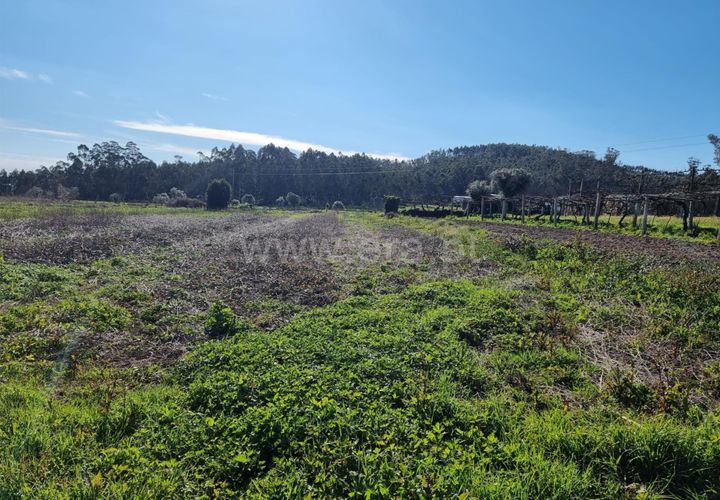 Helårsgrund i Barcelos, Braga, Barcelos - € 25.000 | Ref: 254260468 - foto 1