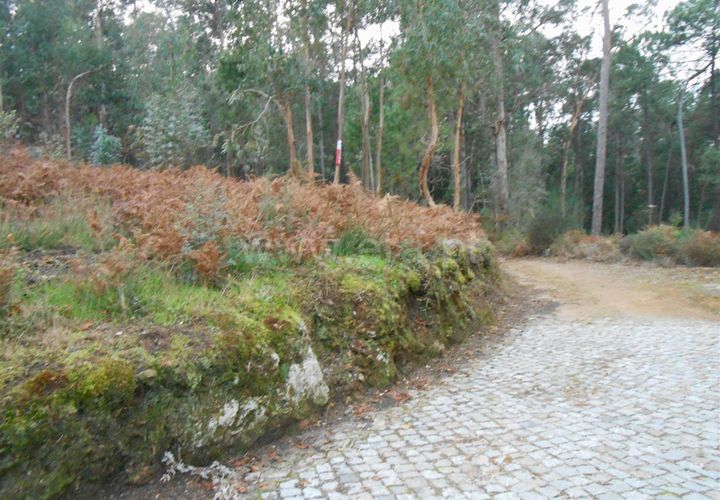 Helårsgrund i Barcelos, Braga, Barcelos - € 52.500 | Ref: 254260249 - foto 1