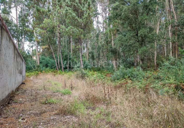 Helårsgrund i Barcelos, Braga, Barcelos - € 110.000 | Ref: 254260471 - foto 1