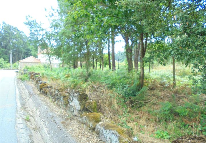 Helårsgrund i Barcelos, Braga, Barcelos - € 330.000 | Ref: 254260234 - foto 1