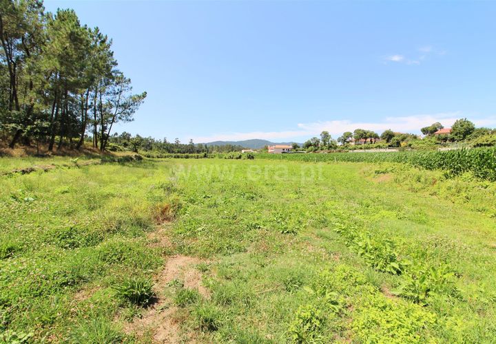Helårsgrund i Barcelos, Braga, Barcelos - € 150.000 | Ref: 254260312 - foto 1